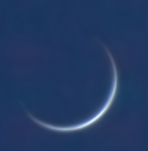 Venus 142841 RGB 310520 3