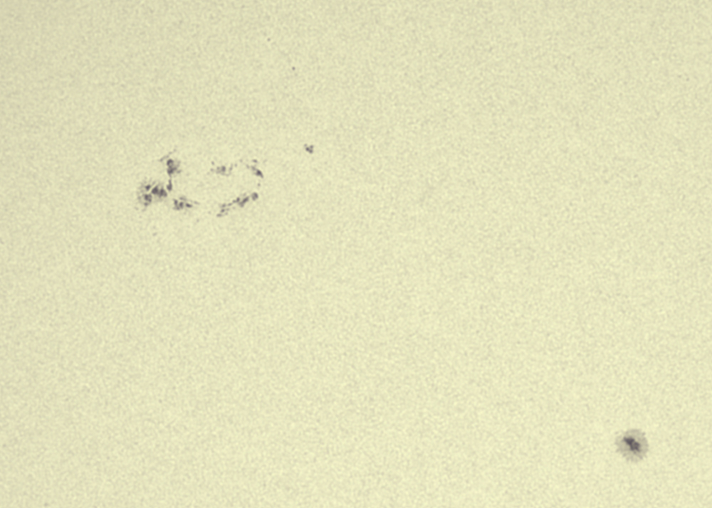 Sun 085632 RGB 19062022 Aus