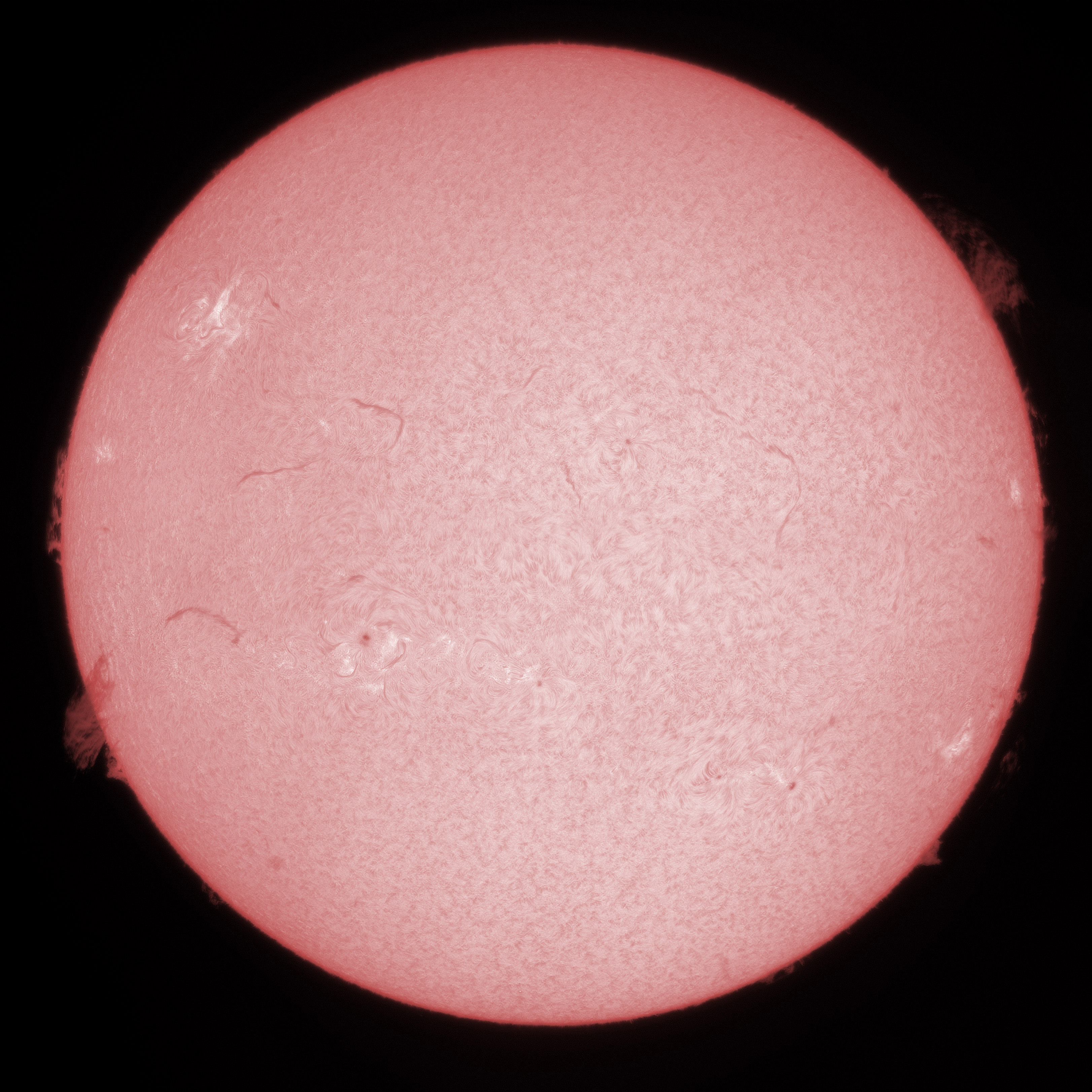 Sonne 2025 07 13 1521 4 Halpha Sun Halpha QHY5III678M Gain29 Exposure2.5ms GanzRot