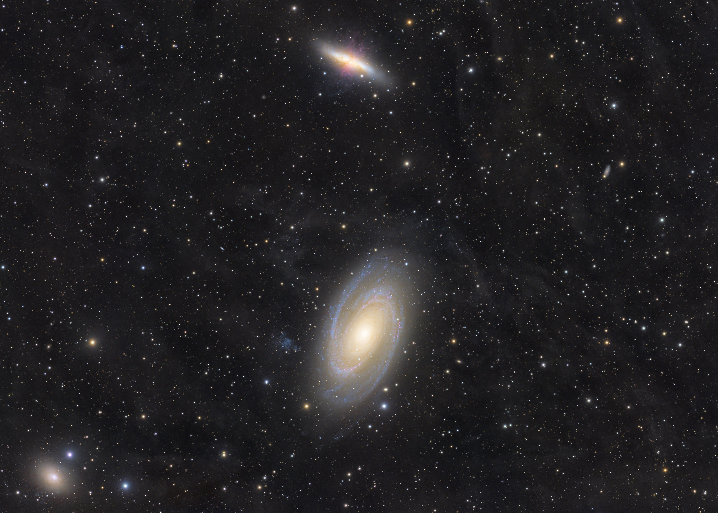 M81 82 20260118 22 748min Web
