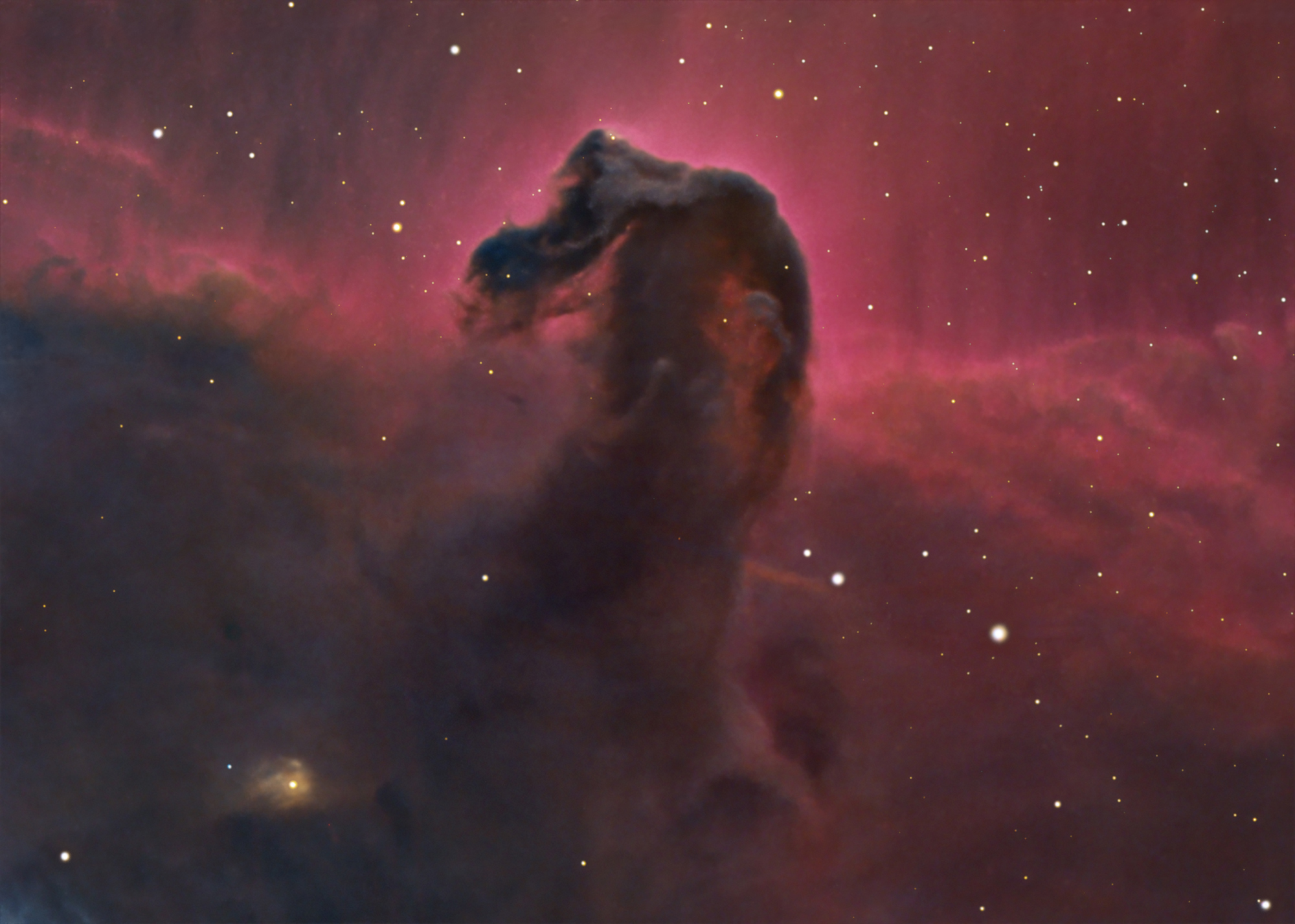 IC434 B33 ACF16 FKG Web