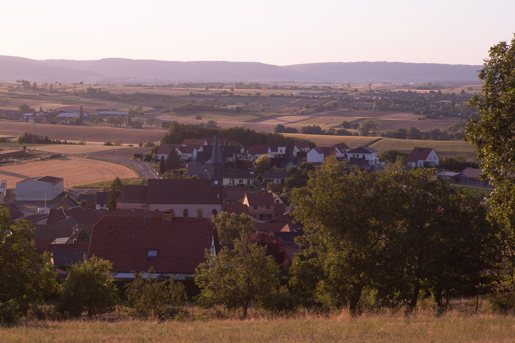 Hohengeoft 20260812 1800UT IMG 1460