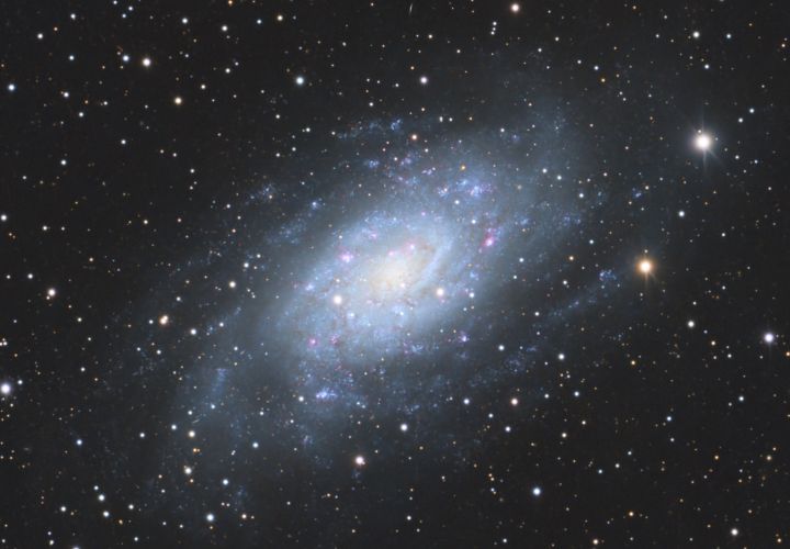 Galaxie NGC 2403, 11 Stunden belichtet