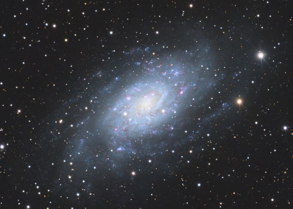 Galaxie NGC 2403, 11 Stunden belichtet