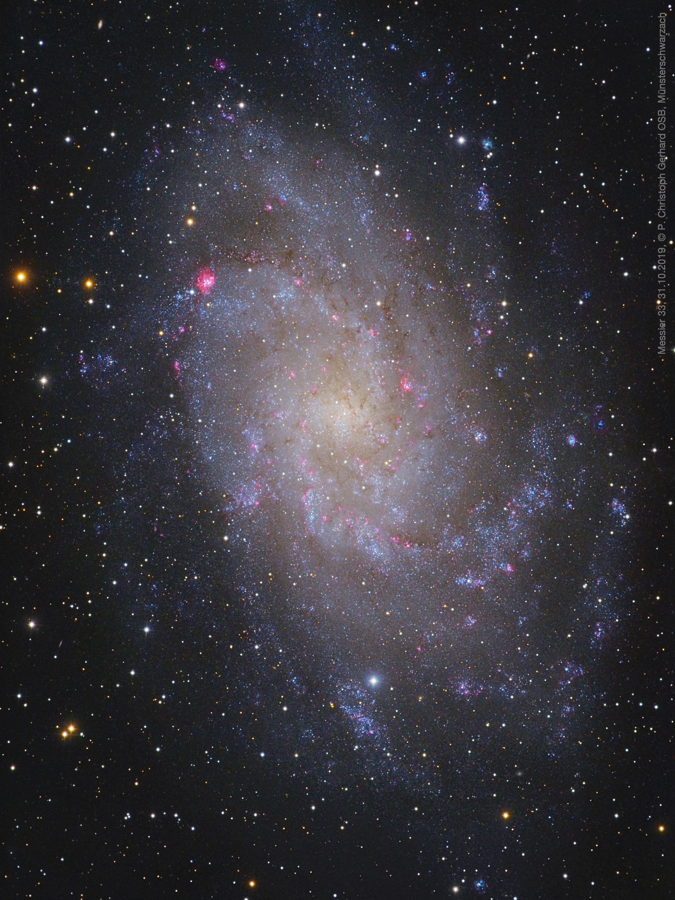 Klostersternwarte, M33, 31.10.2019, 12" Newton und 7" AP EDT